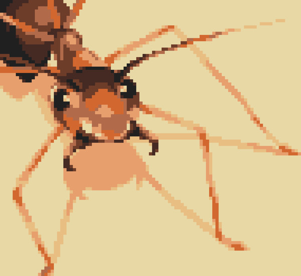 Ant!