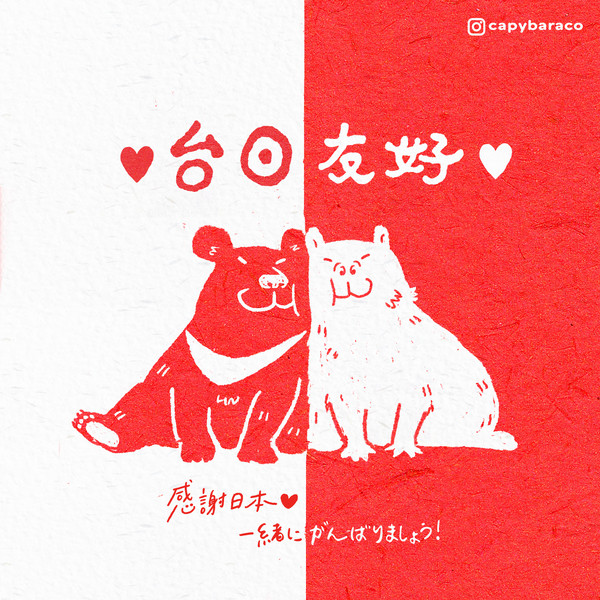 日台友好 水豚子x台灣黑熊好朋友!
