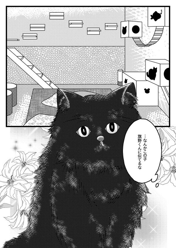 VS猫カフェ