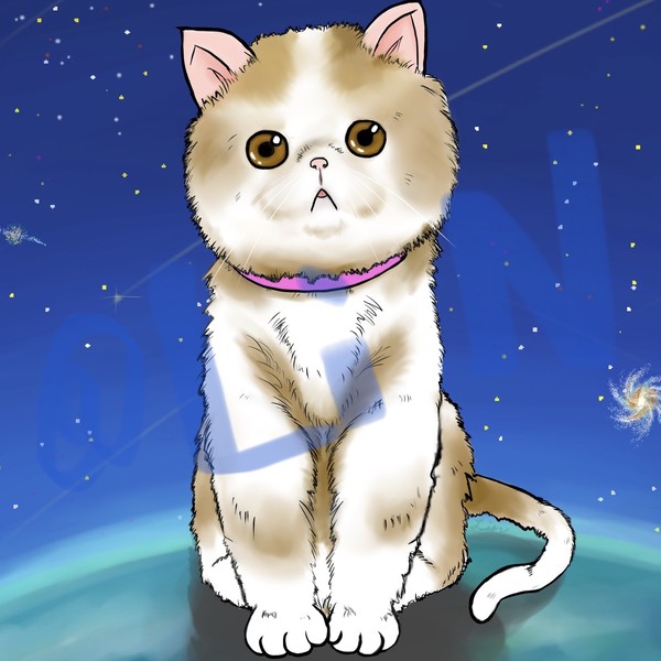 世界ネコの日？