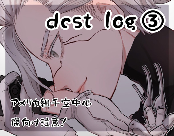dcst log③