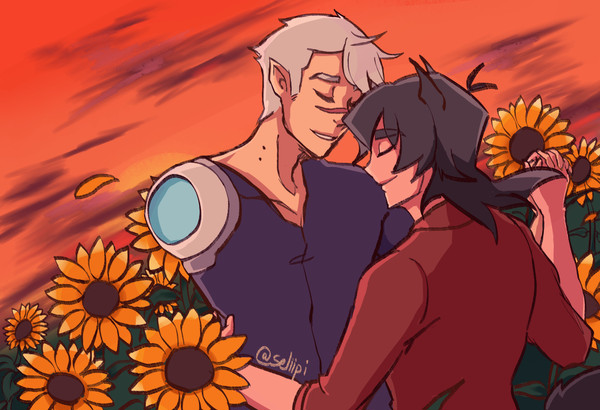 SHEITHまとめ