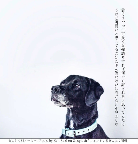 クラステSS4