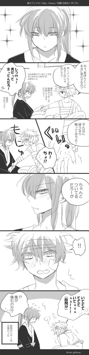 ログ詰め合わせ5(銀土)