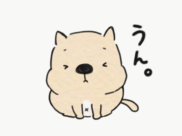 【ちゃびまる】実はそうなの、の『うん。』