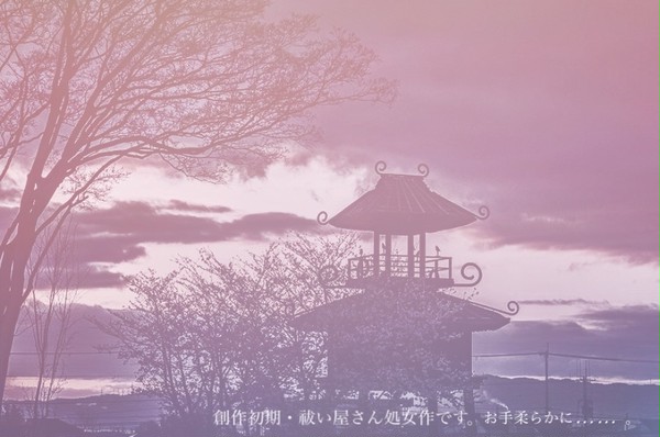13ヶ月と徒花の夜