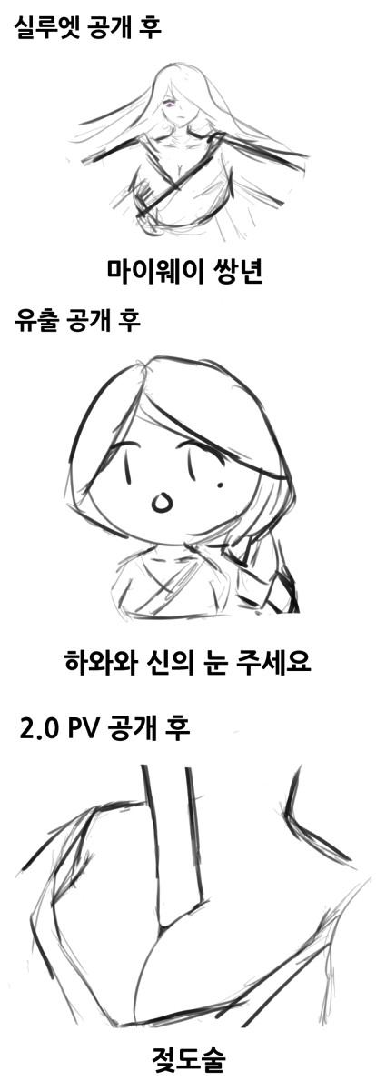 라이덴에 대한 인상 변화