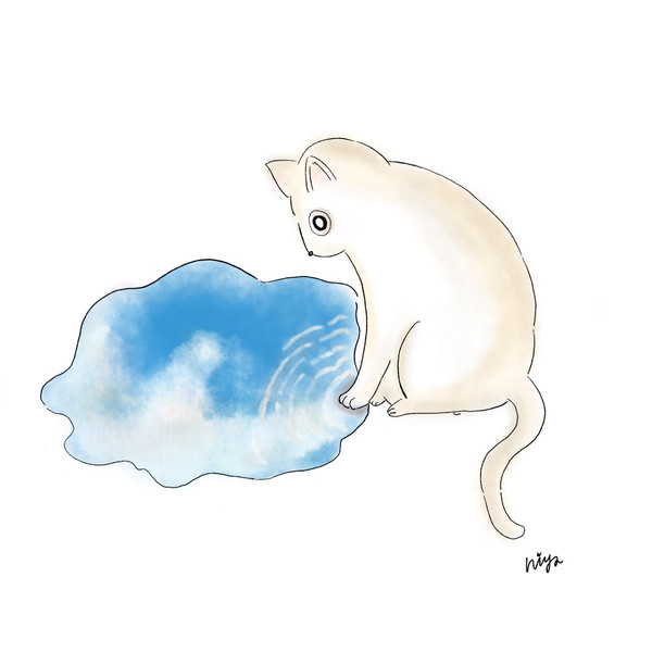 ねことみずたまり