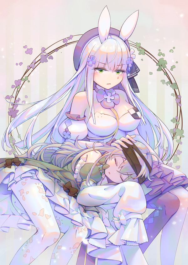 HK416&G11