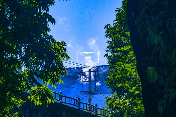 夏