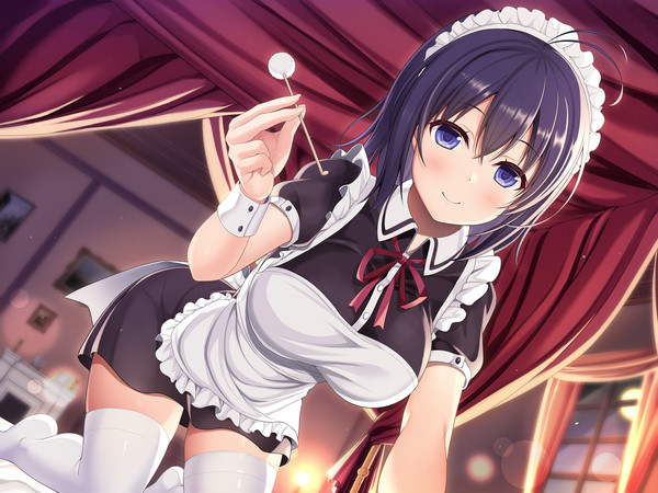 メイドさんの夜のご奉仕