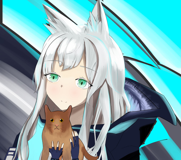 ロスモンティスの猫