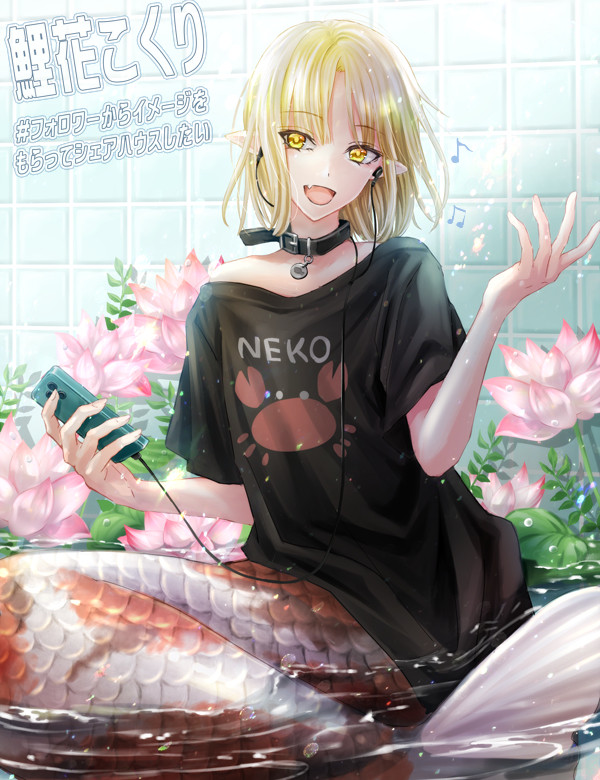 鯉ちゃんだよ