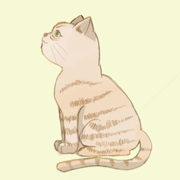 小猫咪真不戳！