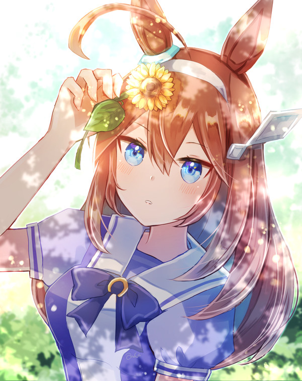 夏の木漏れ日