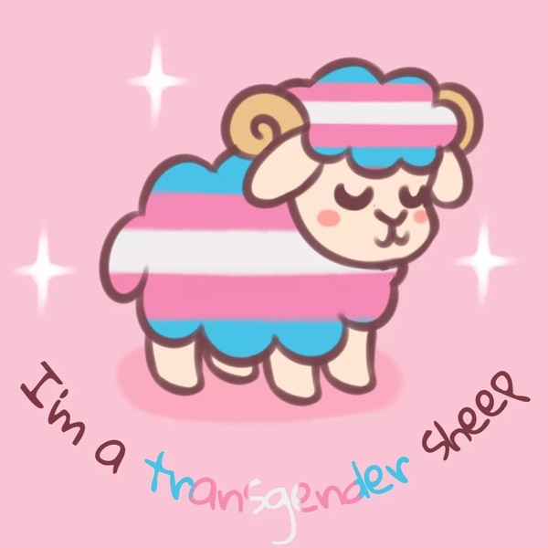 Pride Sheeps