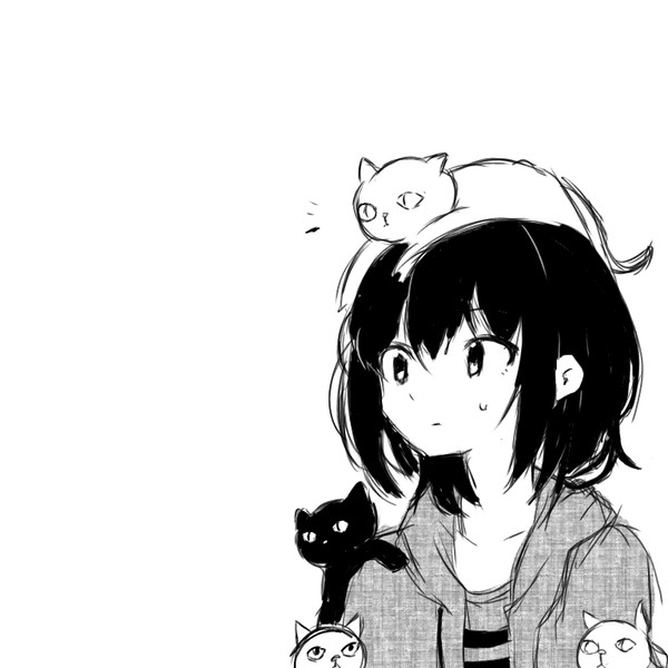 A garota e seus gatos