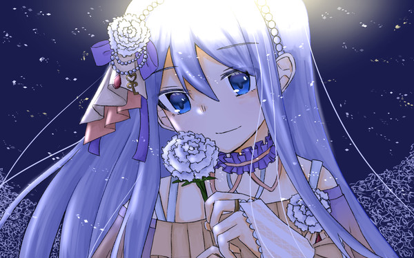 カーネーション・リコレクション