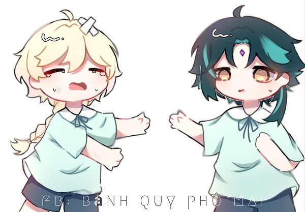Xiao and aether