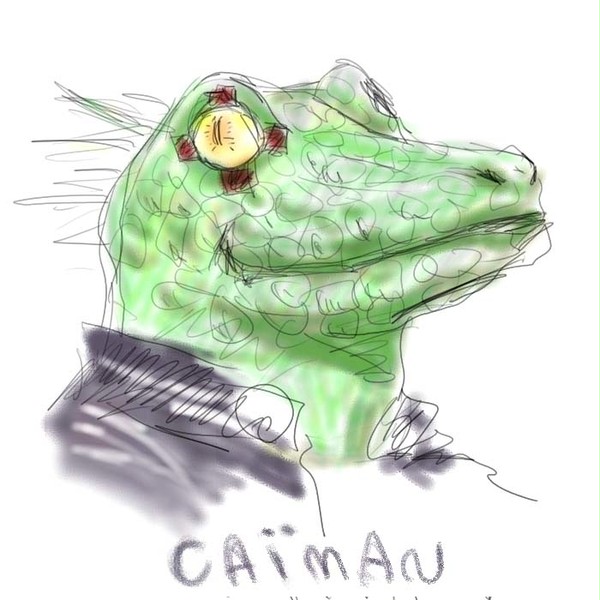 カイマン