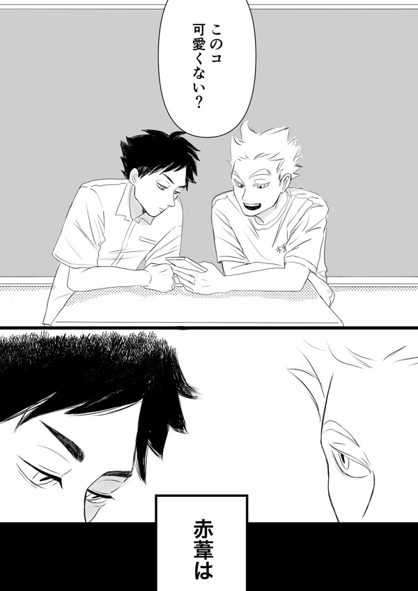 【兎赤】なんで?
