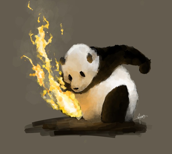 tm熊的力量