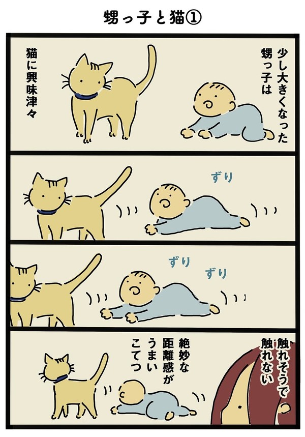 猫エッセイまんが331~340