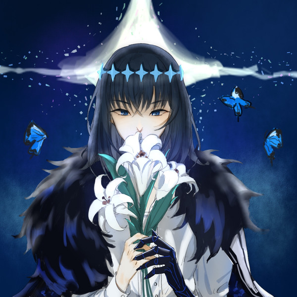 奥宝