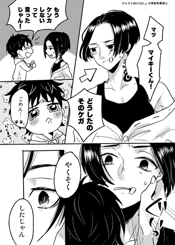 【マイ武】きみが傷つくのは悲しい