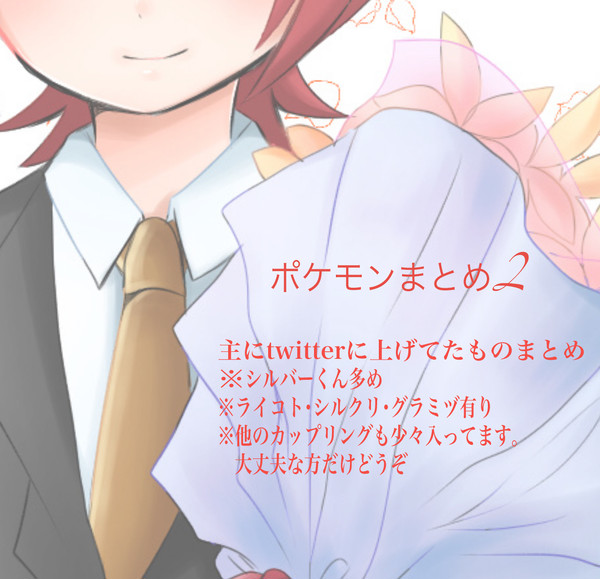 ポケモンまとめ2