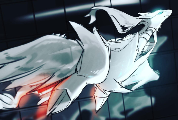 Reshiram / Black City