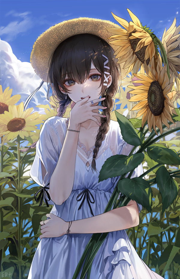 ひまわり