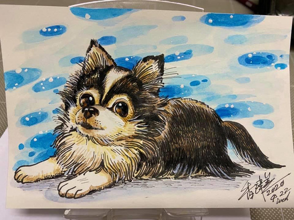 24歳くらいまでのイラスト　犬は最近のやつ