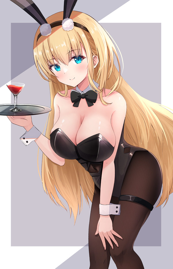 ノースカロライナ バニー🐰