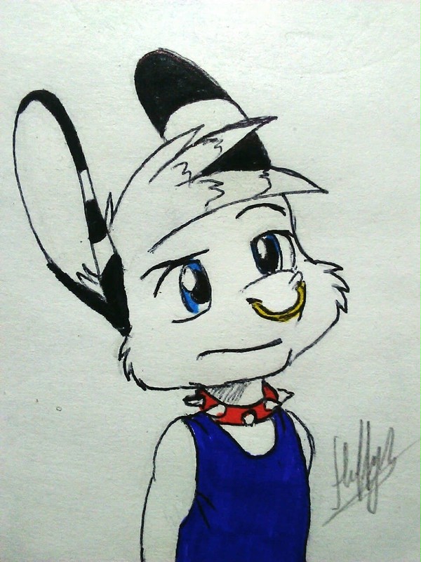 Shota Jerry
