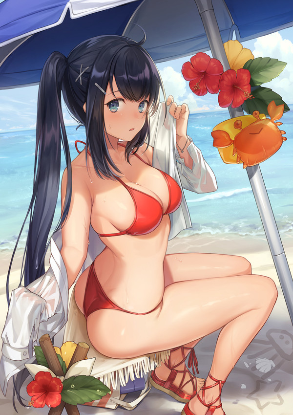 海