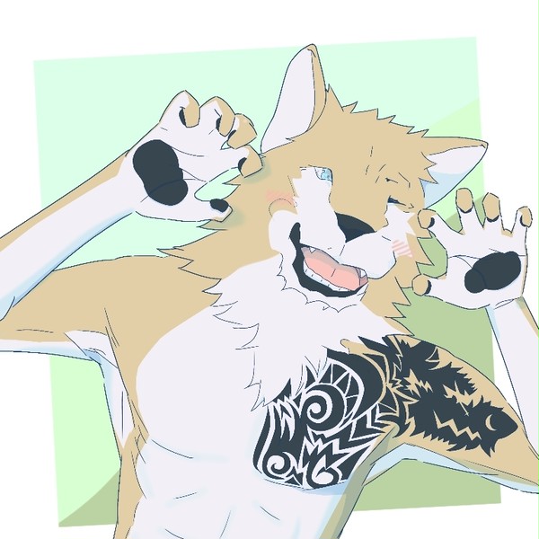 がお～