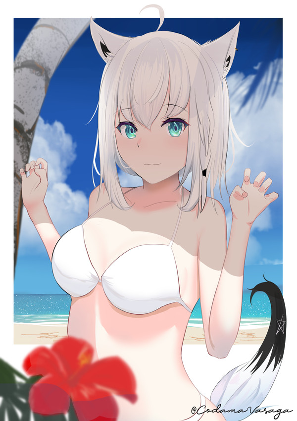 海と水着とフブキちゃん