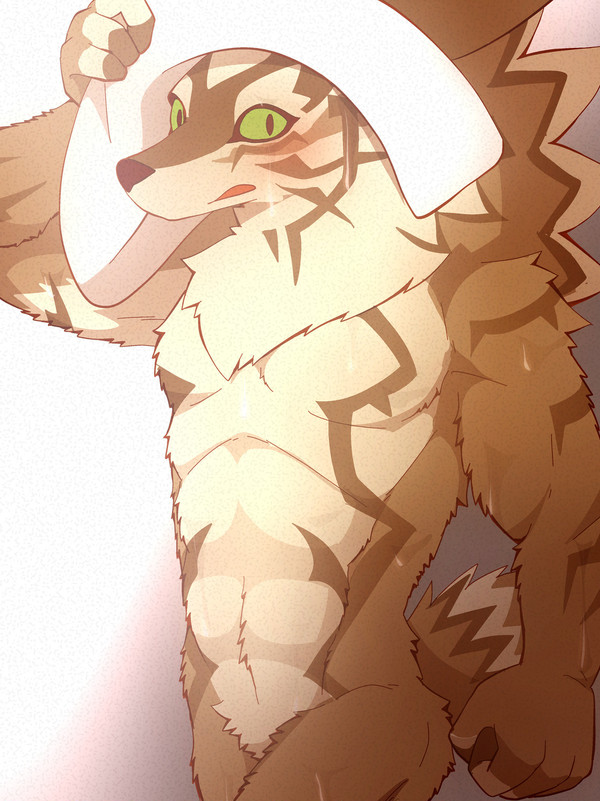 風呂上がりセト