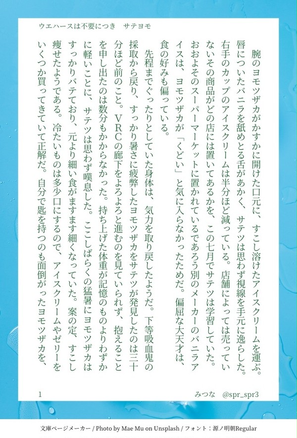 SSつめ