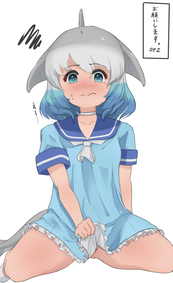 ドルカちゃんにお願いしましたシリーズ