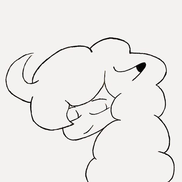 一只小绵羊（a Sheep）