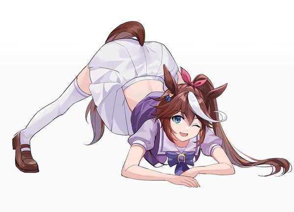TOKAI TEIO