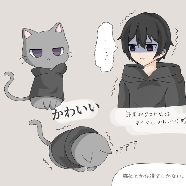 カイくん