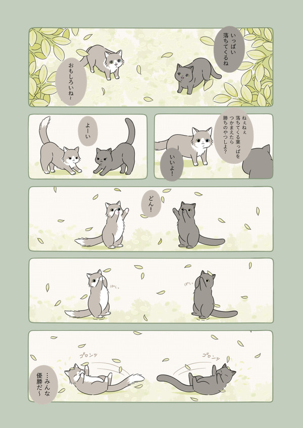 おそとのねこたち⑤