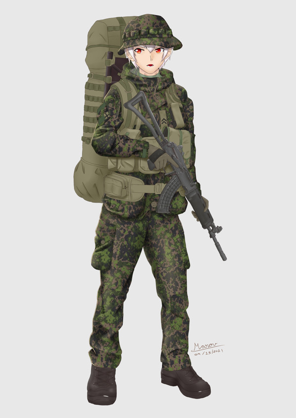 Finland defence forces