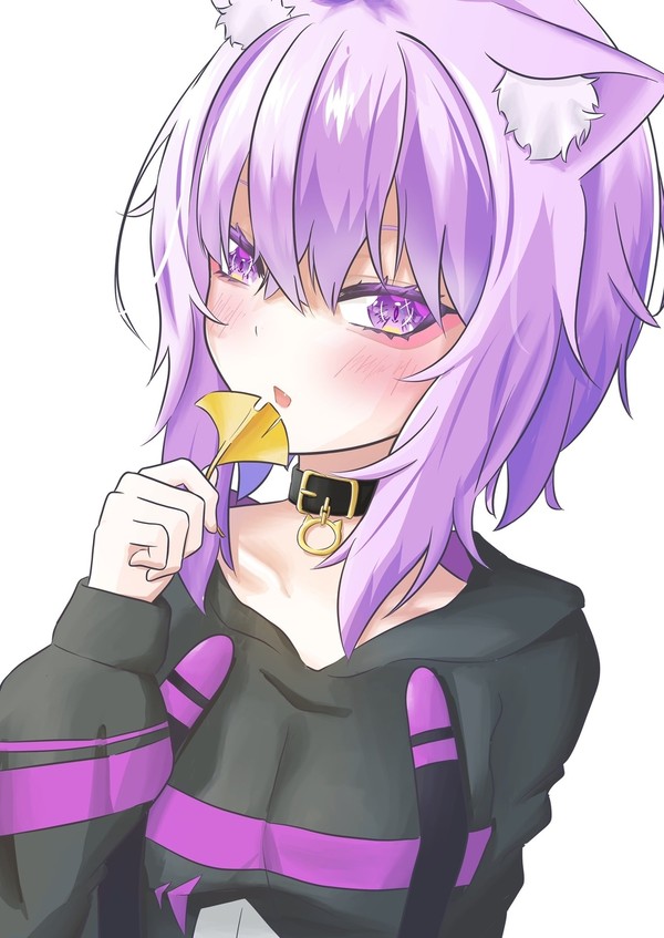 猫と初秋