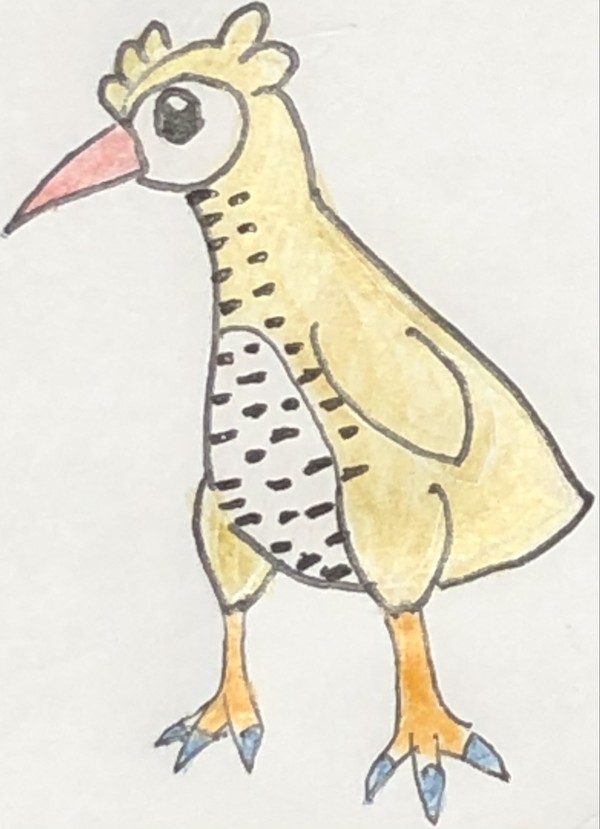 序盤野生ポケモン　鳥系