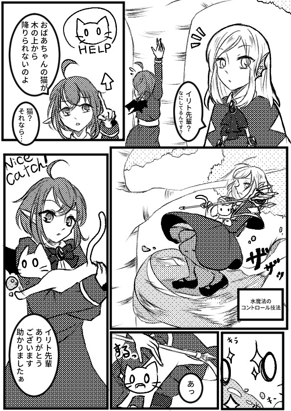 【アヴェルニア】猫【街頭戦】