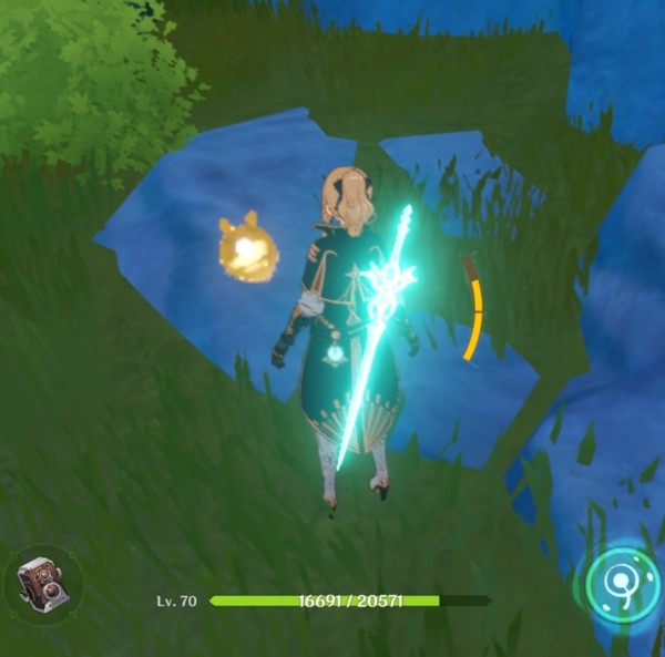 GI bug
